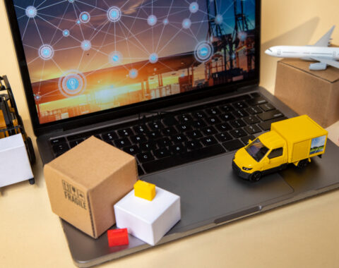 Innovating Logistics with Appbirds: A Digital Marketing Approach